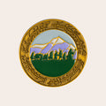 The Fellowship™ Pin
