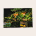 Hobbiton™ Movie Set Postcard